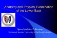 Anatomy and Physical Examination of the Lower Back PowerPoint PPT Presentation