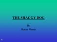 THE SHAGGY DOG PowerPoint PPT Presentation