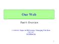 Our Web PowerPoint PPT Presentation