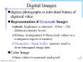 Digital Images PowerPoint PPT Presentation