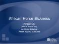 African Horse Sickness PowerPoint PPT Presentation