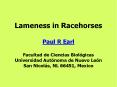 Lameness in Racehorses Paul R Earl Facultad de Ciencias Biol PowerPoint PPT Presentation