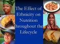 The Effect of Ethnicity on Nutrition throughout the Lifecycle PowerPoint PPT Presentation