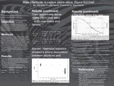 Male Infanticide in captive plains zebra, Equus burchelli Jan Pluhacek