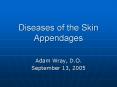 Diseases of the Skin Appendages PowerPoint PPT Presentation
