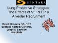 Lung Protective Strategies: The Effects of Vt, PEEP PowerPoint PPT Presentation