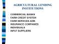 AGRICULTURAL LENDING INSTITUTIONS PowerPoint PPT Presentation