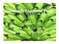 Genetically Engineered Foods PowerPoint PPT Presentation