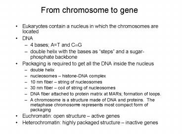 From chromosome to gene