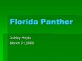 Florida Panther PowerPoint PPT Presentation