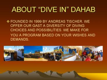 ABOUT DIVE IN DAHAB