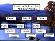 Indicators of an economically healthy forest