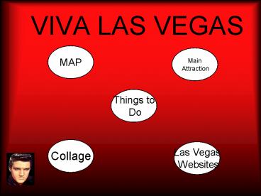 VIVA LAS VEGAS