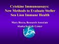 CytokineImmunoassays: New Methods to Evaluate Steller Sea Lion Immune Health PowerPoint PPT Presentation