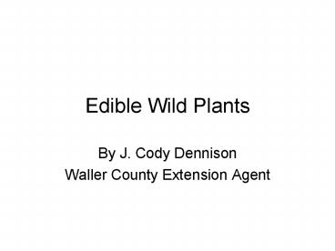 Edible Wild Plants