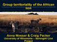 Group territoriality of the African lion PowerPoint PPT Presentation
