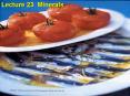 Lecture 23 Minerals PowerPoint PPT Presentation