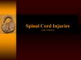 Spinal Cord Injuries Adele Anderson PowerPoint PPT Presentation