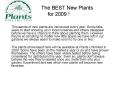 The BEST New Plants for 2009 PowerPoint PPT Presentation