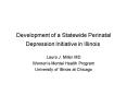 Development of a Statewide Perinatal Depression Initiative in Illinois PowerPoint PPT Presentation