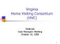 Virginia Home Visiting Consortium HVC PowerPoint PPT Presentation