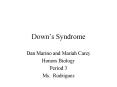 Downs Syndrome PowerPoint PPT Presentation