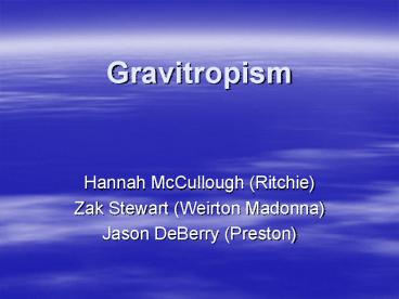 Gravitropism