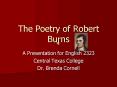 The Poetry of Robert Burns PowerPoint PPT Presentation