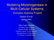 Modeling Morphogenesis in Multi-Cellular Systems (Complex Systems Project)