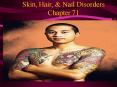 Skin, Hair, PowerPoint PPT Presentation