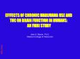 EFFFECTS OF CHRONIC MARIJUANA USE AND PowerPoint PPT Presentation