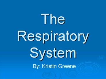The Respiratory System