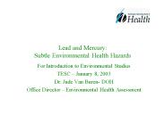 Lead and Mercury: Subtle Environmental Health Hazards
