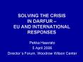 SOLVING THE CRISIS IN DARFUR EU AND INTERNATIONAL RESPONSES PowerPoint PPT Presentation