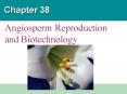 Angiosperm Reproduction and Biotechnology PowerPoint PPT Presentation