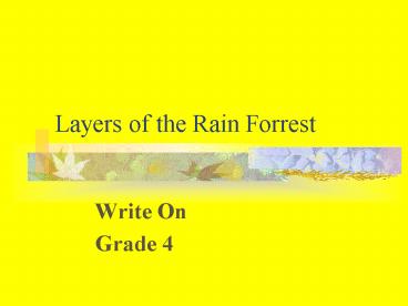 Layers of the Rain Forrest