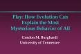 Play: How Evolution Can Explain the Most Mysterious Behavior of All PowerPoint PPT Presentation