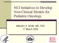NCI Initiatives to Develop NonClinical Models for Pediatric Oncology PowerPoint PPT Presentation