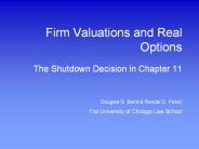 Firm Valuations and Real Options