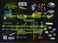 Theres A Mousetrap in the House PowerPoint PPT Presentation