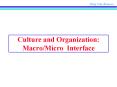 Culture and Organization: MacroMicro Interface PowerPoint PPT Presentation