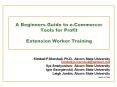 A Beginners Guide to e-Commerce: Tools for Profit Extension Worker Training PowerPoint PPT Presentation