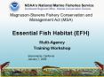 MagnusonStevens Fishery Conservation and Management Act MSA PowerPoint PPT Presentation
