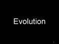 Evolution PowerPoint PPT Presentation