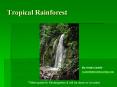 Tropical Rainforest PowerPoint PPT Presentation