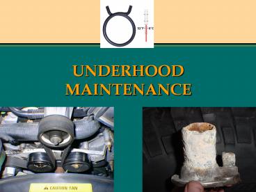 UNDERHOOD MAINTENANCE