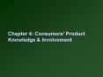 Chapter 4: Consumers Product Knowledge PowerPoint PPT Presentation