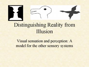 Distinguishing Reality from Illusion