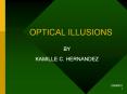 OPTICAL ILLUSIONS PowerPoint PPT Presentation