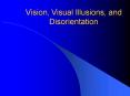 Vision, Visual Illusions, and Disorientation PowerPoint PPT Presentation